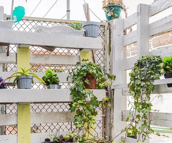 펜션 Luizinho House 빌라노바데가이아